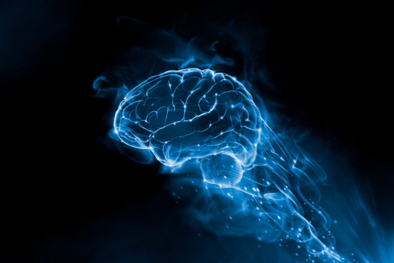 Тренування та мозок: як спорт робить нас розумнішими picture