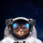 Отчет №010 от APOLLO NEXT story