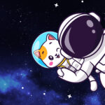 Отчет №011 от APOLLO NEXT story